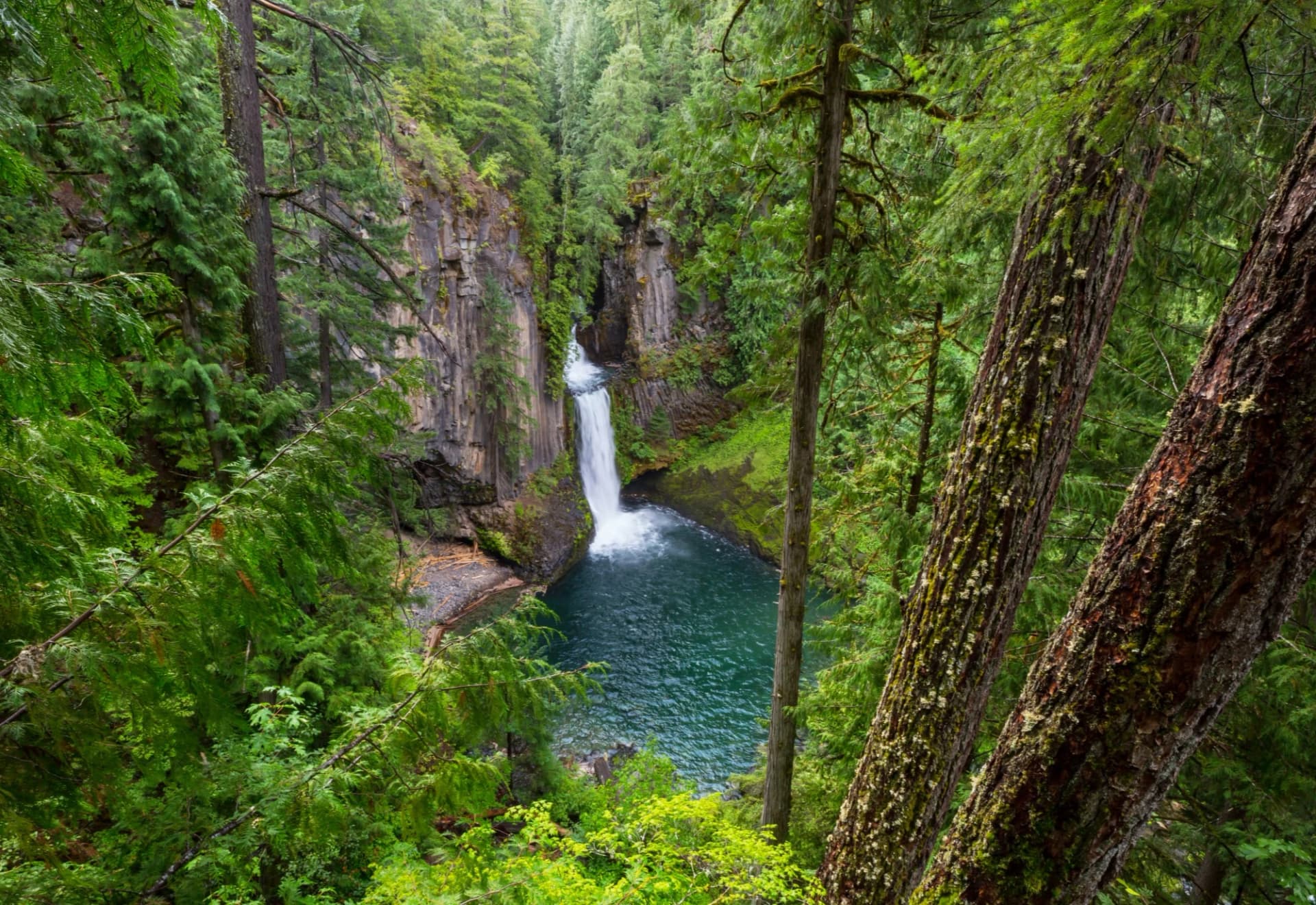 Imagem meio ambiente