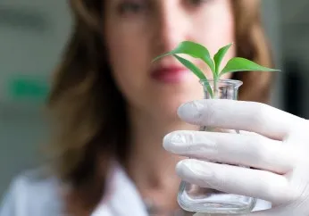 Cientista segurando planta